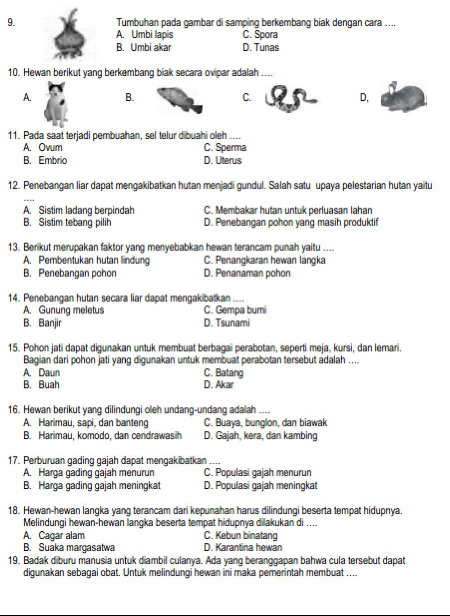 Rahasia Nilai Sempurna Cek soal bahasa indonesia kelas 6 semester 2 kunci jawaban di sini