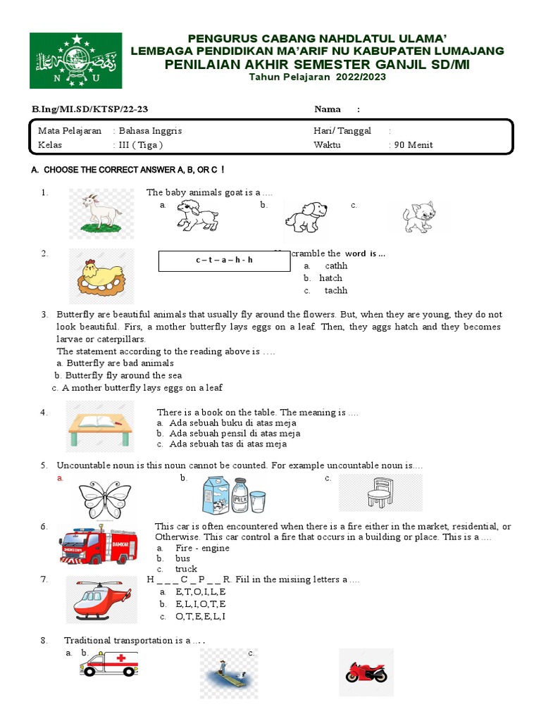 Temukan Soal Bahasa Inggris Kelas 3 SD Semester 1 PDF, Rahasia Jawaban Lulus PTS 2026